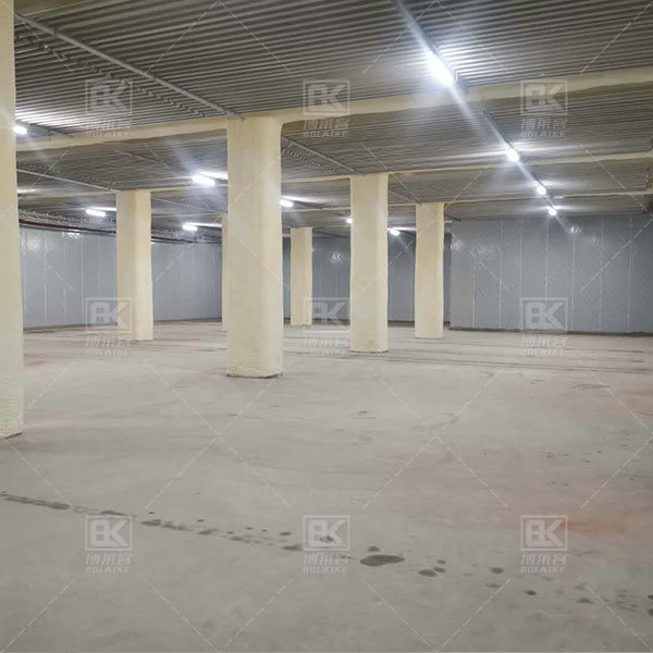 1000 square cold storage